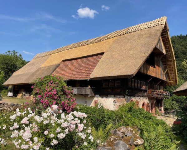 Mit neuem Reetdach: Klausenbauernhof in Wolfach-Ippichen ist Denkmal des Monats November 2023