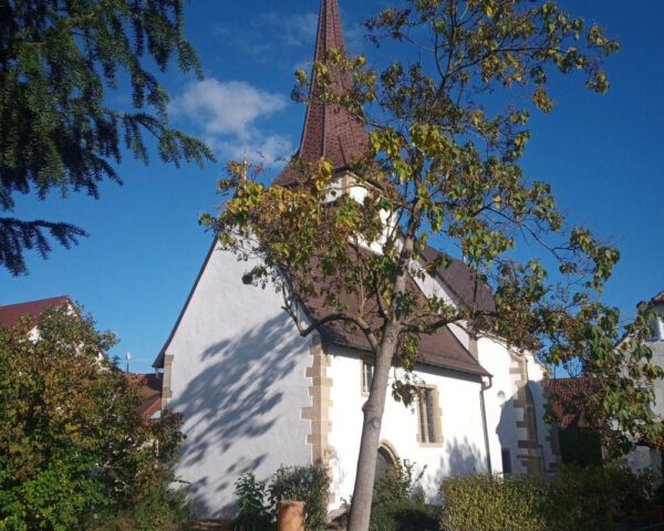 Dach und Mauerwerk instandgesetzt: Martinskirche in Remseck-Neckargröningen ist Denkmal des Monats März 2026